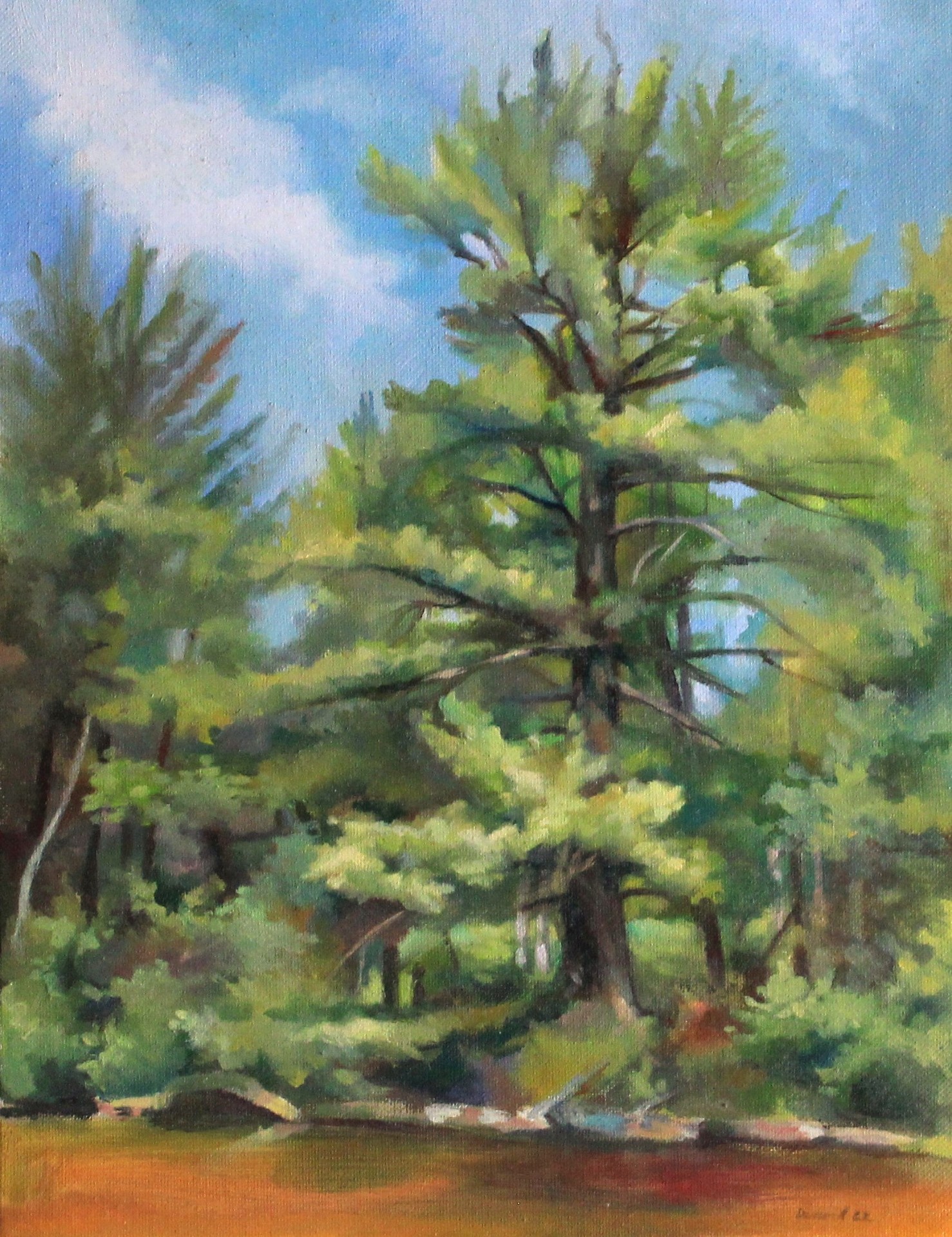 Landscape Study