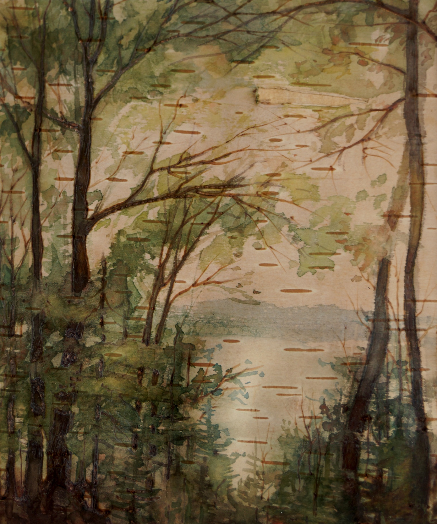 Birches by the Lake